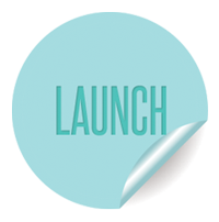 launching your website